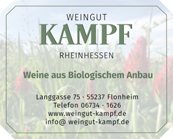 Anzeige Heiner klein fin